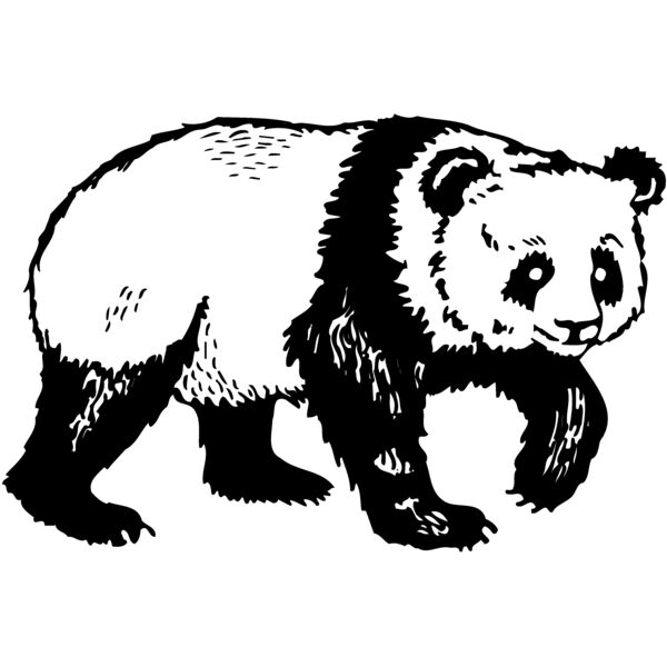 BEAR019 Thumbnail